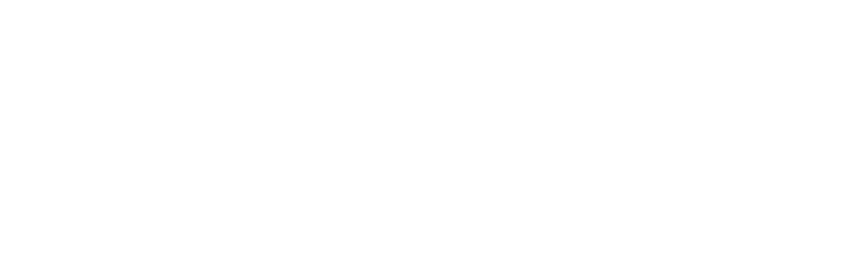 Logo NielsenIQ Ebit